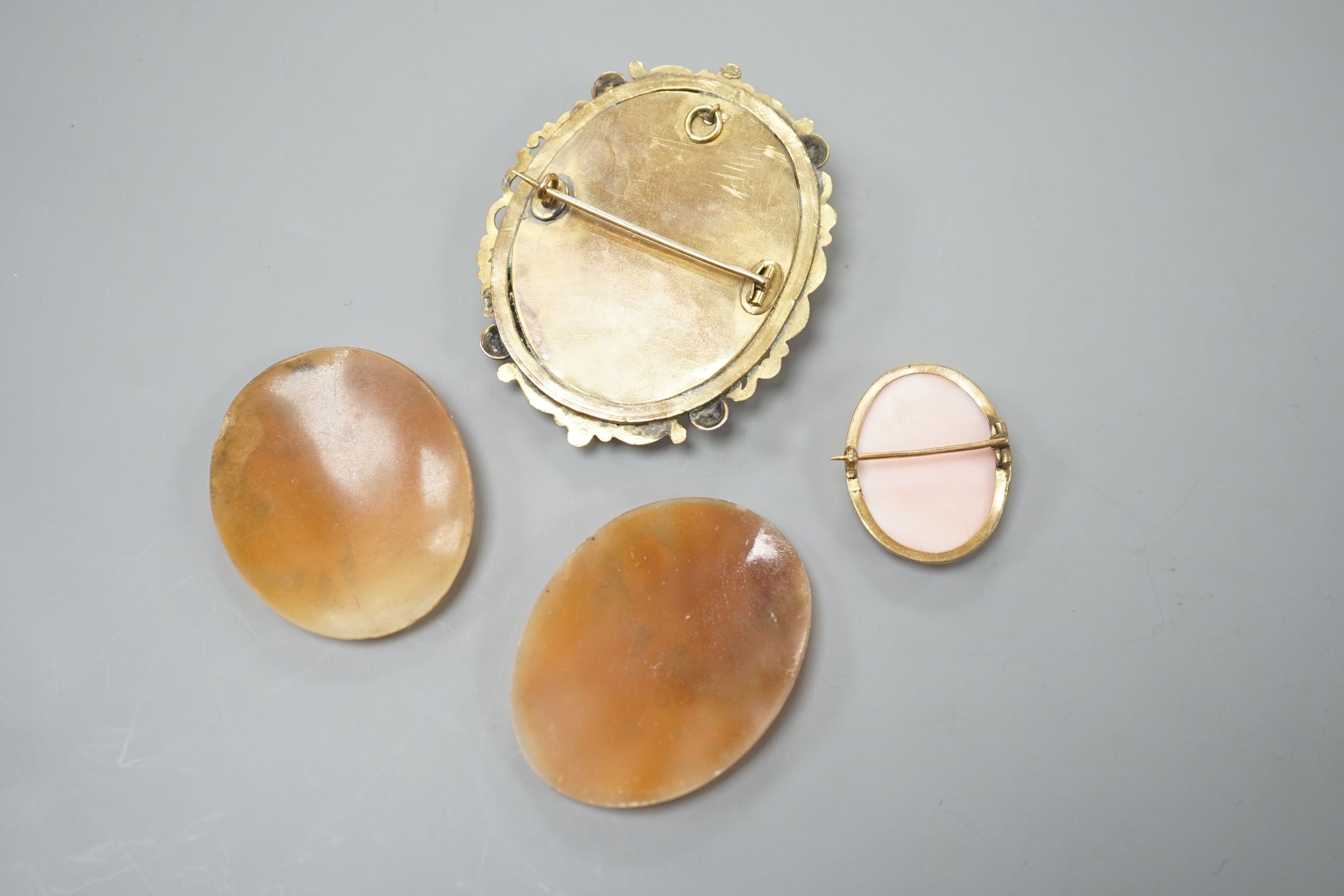 Two gilt metal mounted carved oval cameo shell cameos, largest 63mm and two similar unmounted cameos.